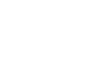 Ally Bank Financing